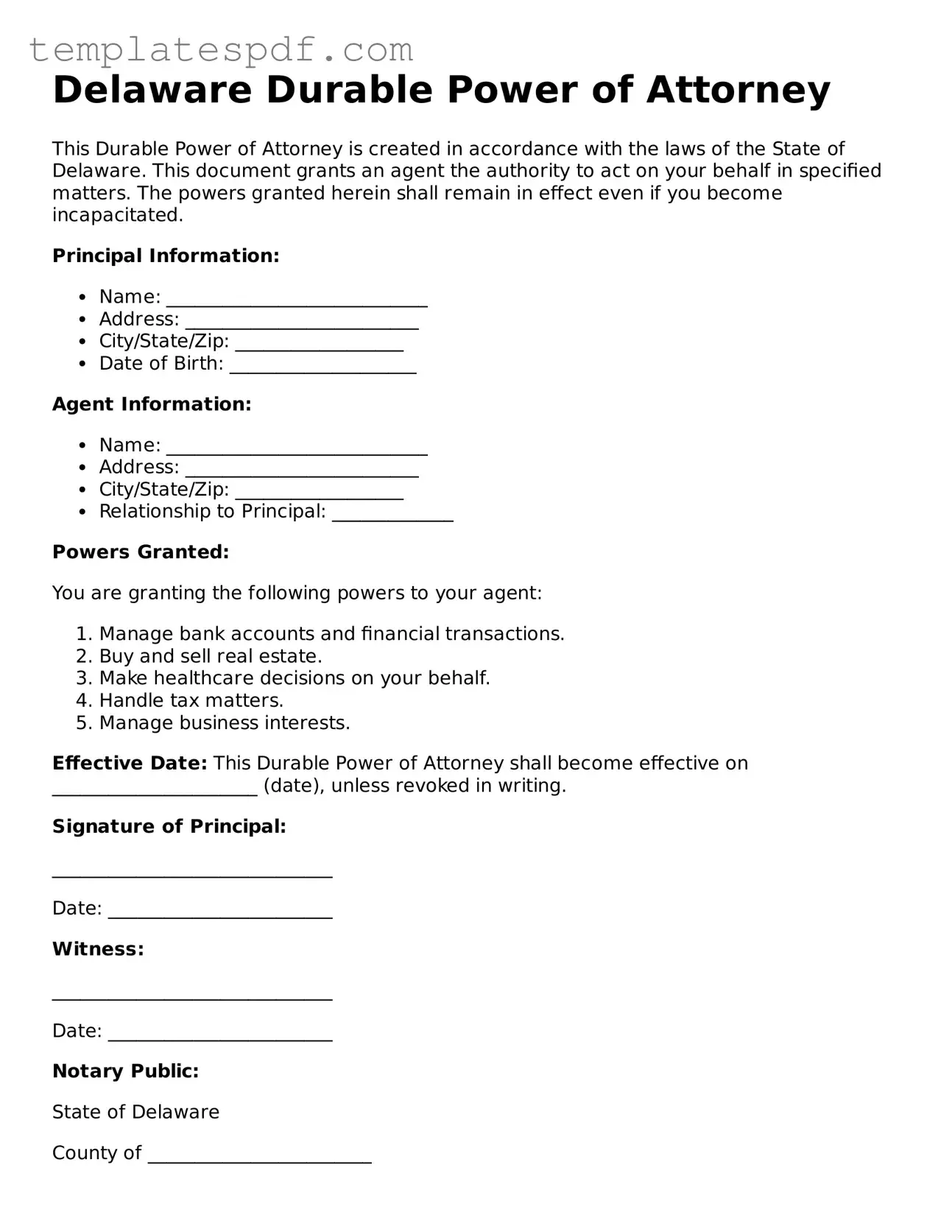 Official  Durable Power of Attorney Form for Delaware
