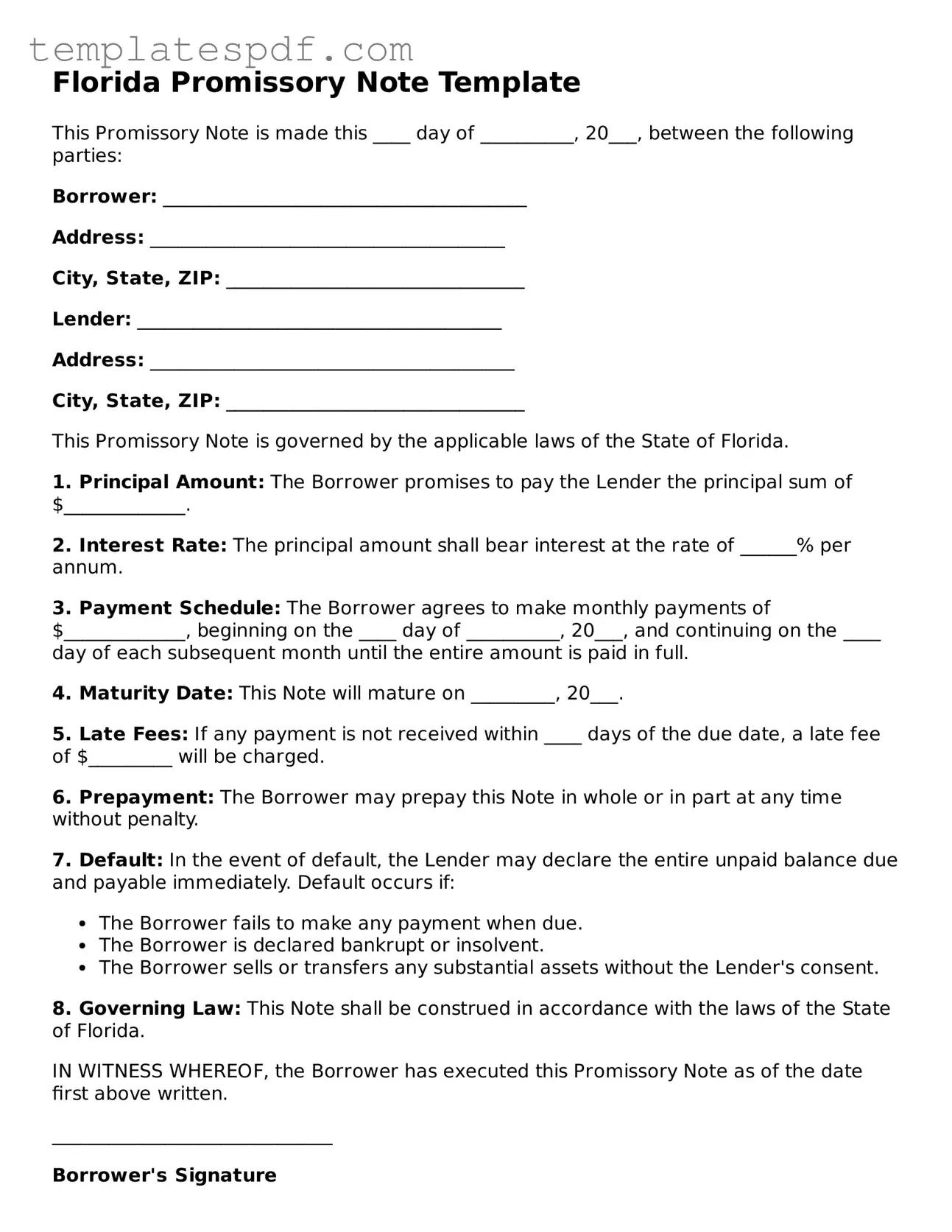 Official  Promissory Note Form for Florida