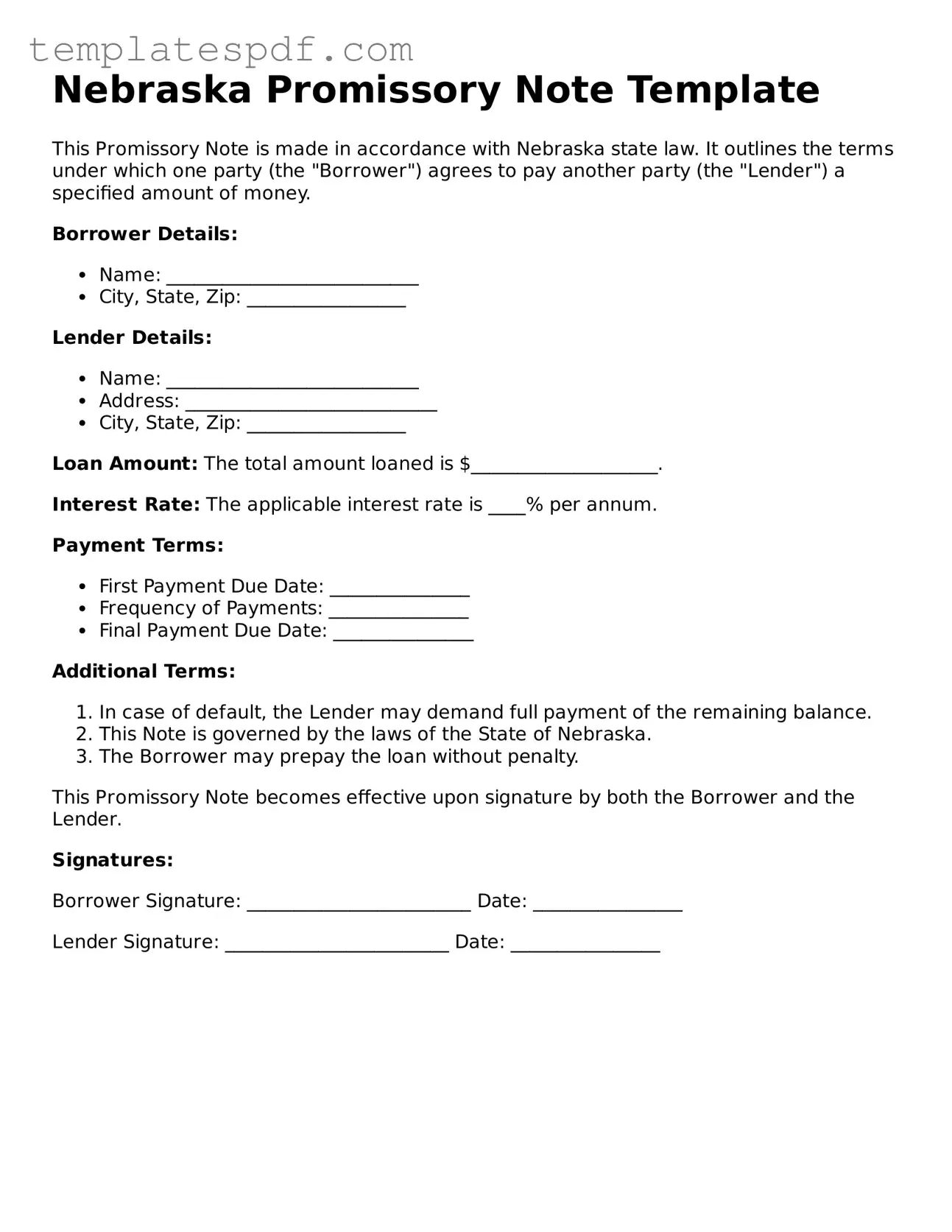 Official  Promissory Note Form for Nebraska