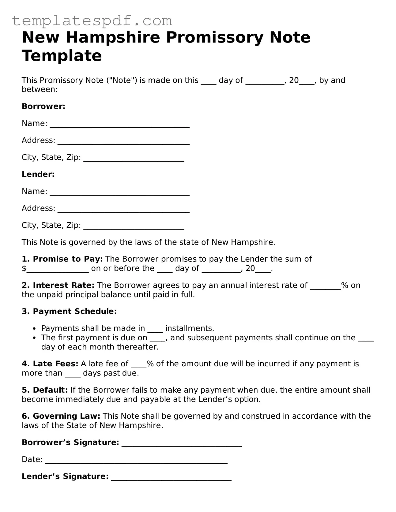 Official  Promissory Note Form for New Hampshire