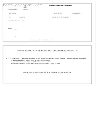 Fill Out a Valid Auto Insurance Card Form