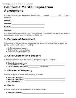 Official  Marital Separation Agreement Form for California