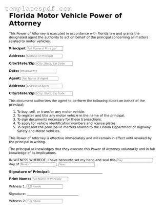 Official  Motor Vehicle Power of Attorney Form for Florida