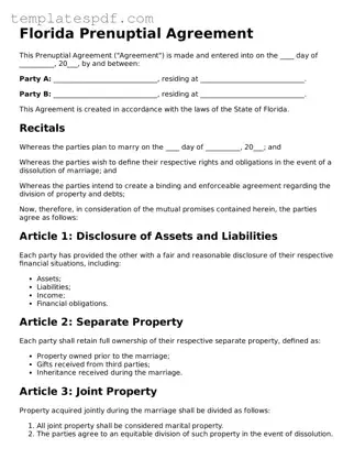 Official  Prenuptial Agreement Form for Florida