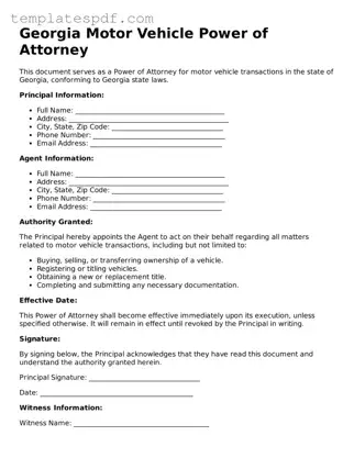 Official  Motor Vehicle Power of Attorney Form for Georgia