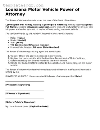 Official  Motor Vehicle Power of Attorney Form for Louisiana
