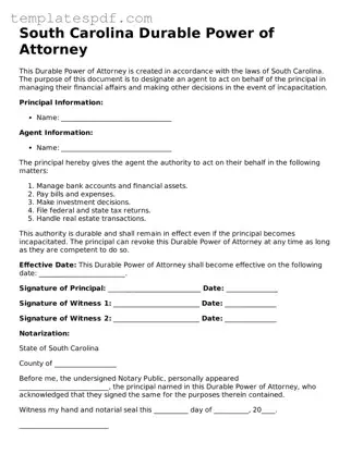 Official  Durable Power of Attorney Form for South Carolina