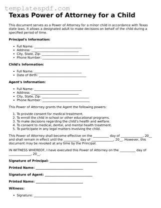 Official  Power of Attorney for a Child Form for Texas