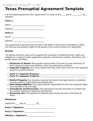Official  Prenuptial Agreement Form for Texas