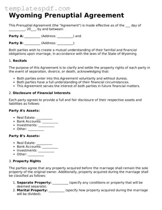 Official  Prenuptial Agreement Form for Wyoming