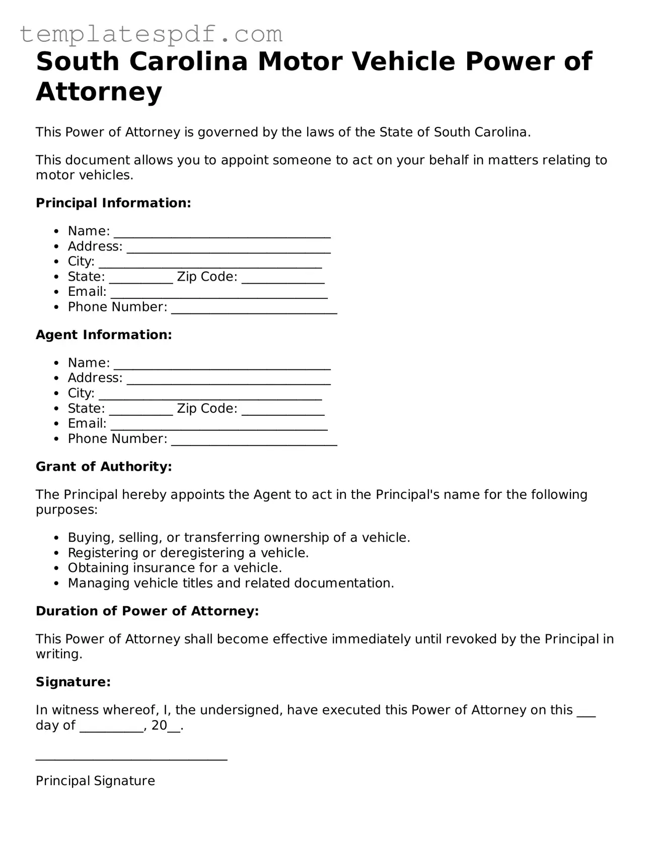 Official  Motor Vehicle Power of Attorney Form for South Carolina
